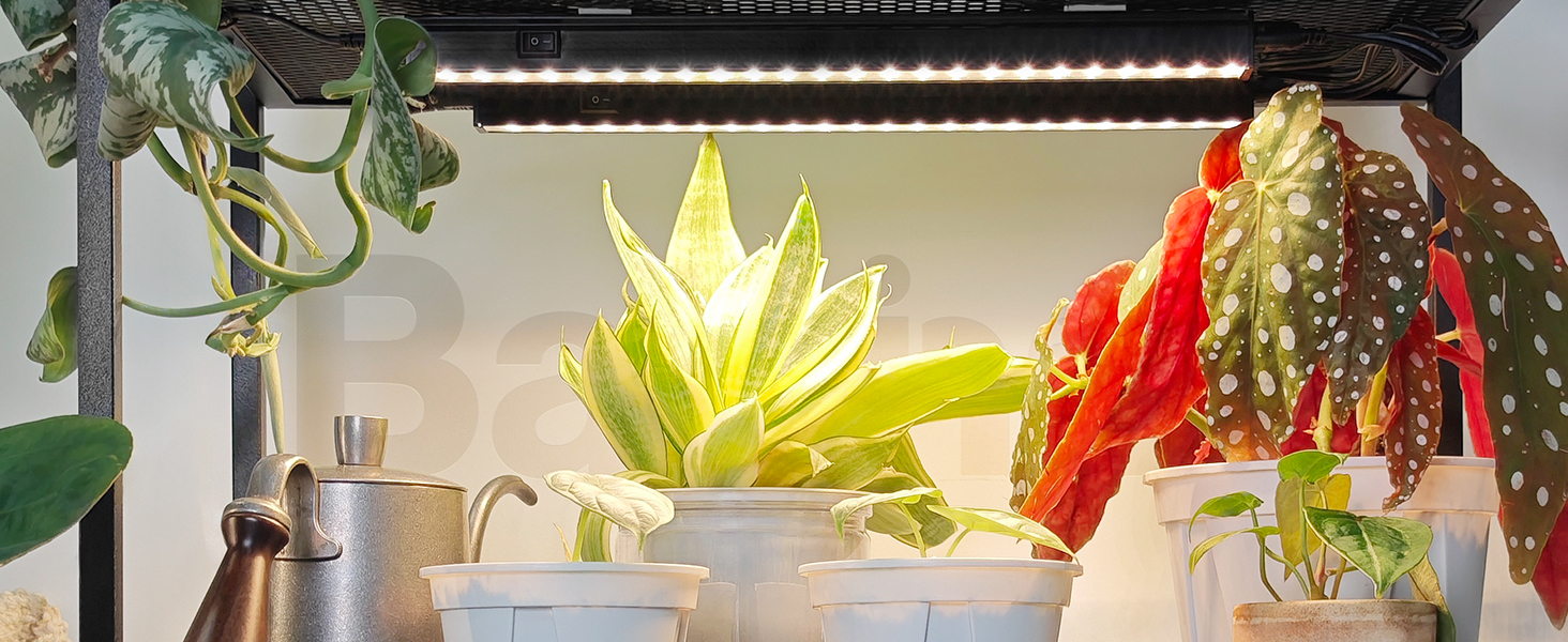 indoor lights for plants