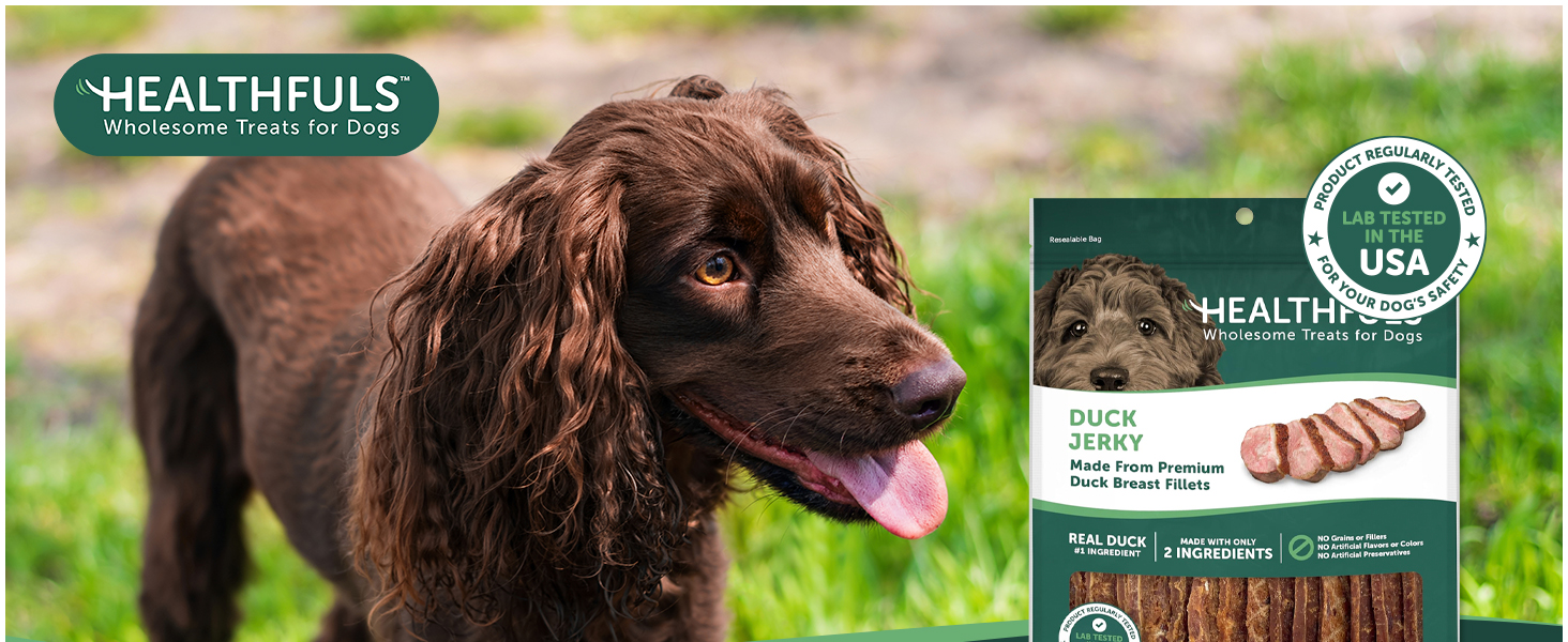 Healthfuls Chicken Jerky Dog Treats