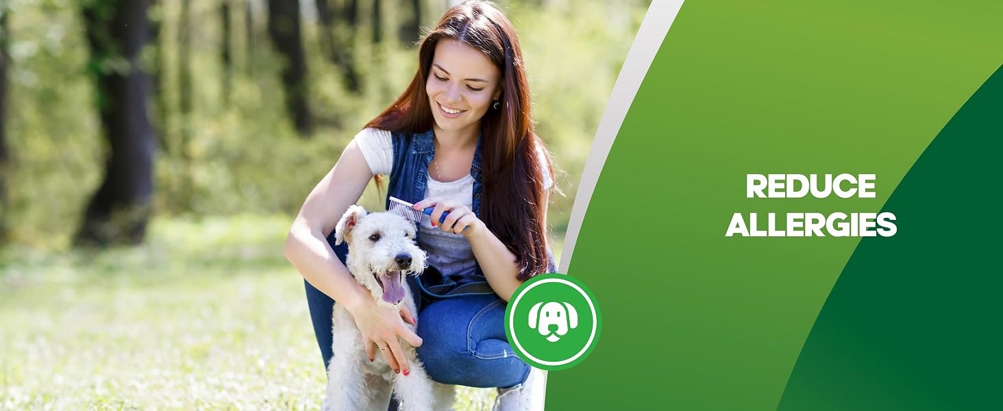 probiotic chews for dogs dog anti diarrhea pet probiotic