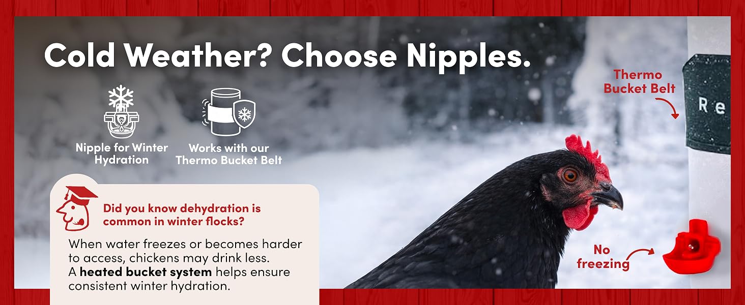 Cold Weather? Choose Nipples