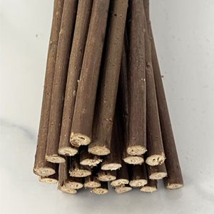 wood willow branch