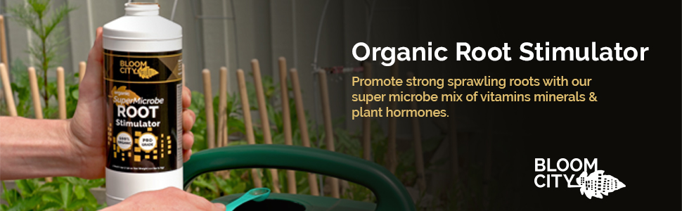 Product Header