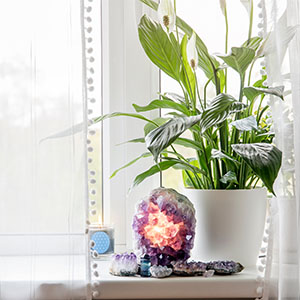 Live plants, houseplants, pothos, monstera, real plants, indoor plants, easy care