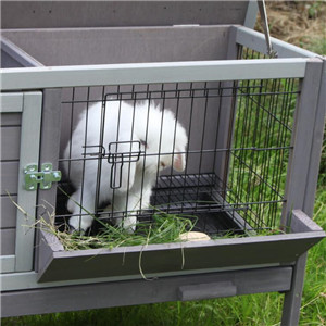 RABBIT HUTCH