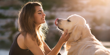 gi relief for dogs all natural ingredients non toxic herbal remedy for pets