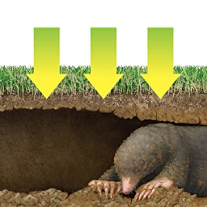 mole and gopher repellent granules