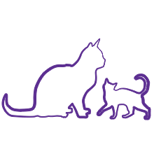 food for all shapes and sizes of cats kittens felines