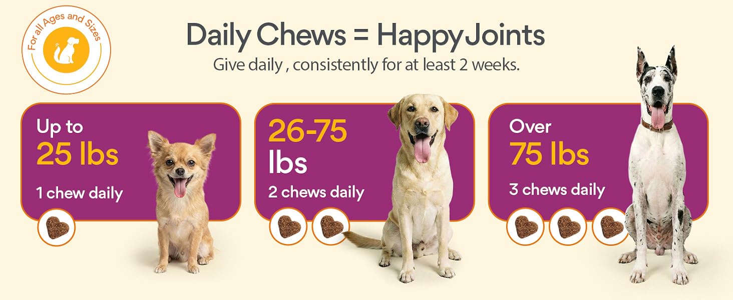 mobility for dogs
