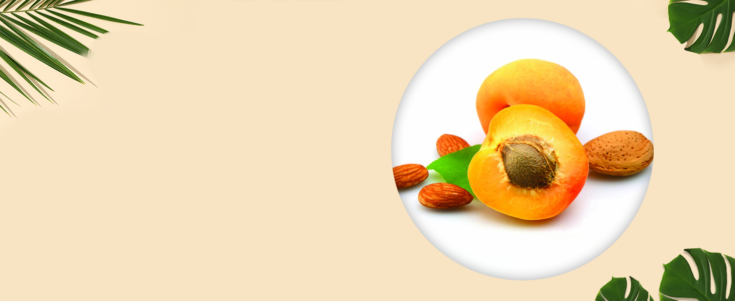 Apricot Seed powder