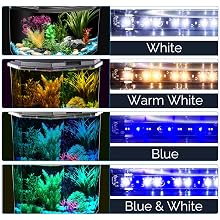 aquarium starter kit