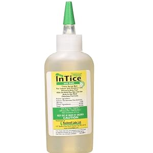 Intice Ant Bait