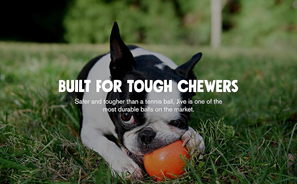 Jive Built for Tough Chewers