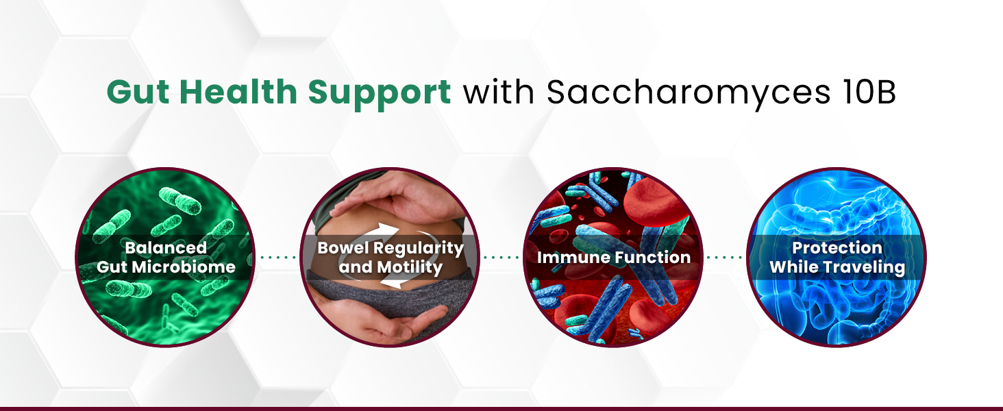 PureThera Pro ingredients are never sourced from Chinese facilities for purity you can trust