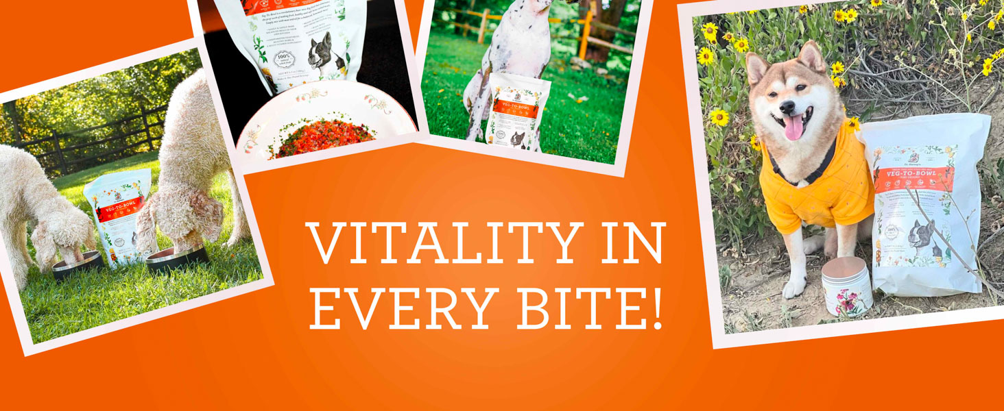 Dog Human grade, Vegetables, Protein, Kidney, Fur, Mix, Complete, Veterinarian Approved