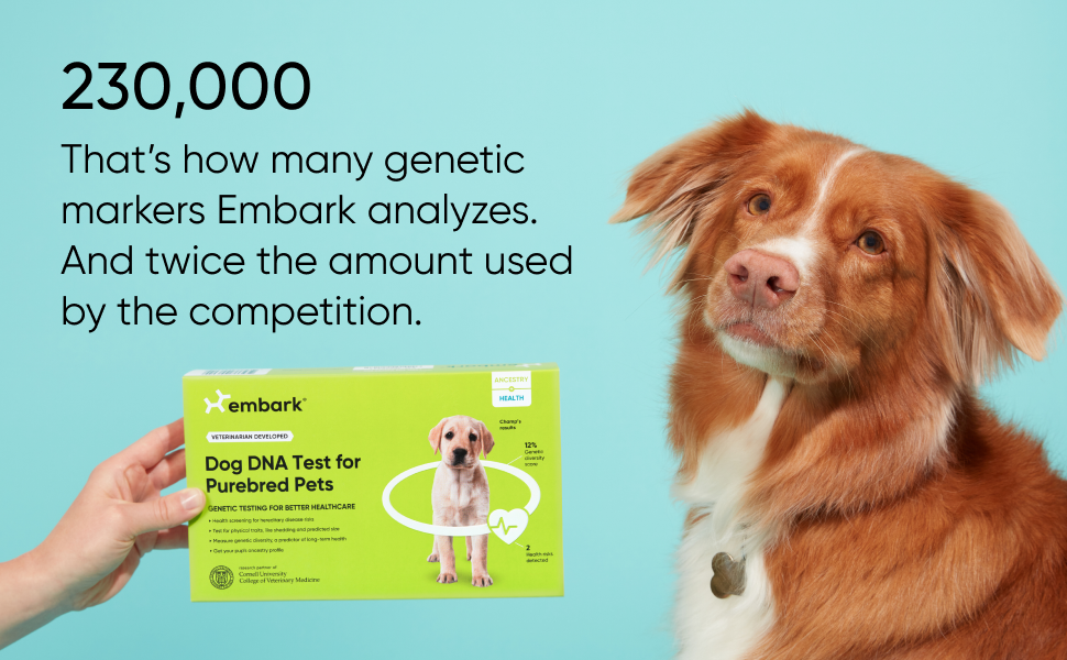 Embark uses over 230,000 genetic markers for its analysis, twice the amount used by competition.