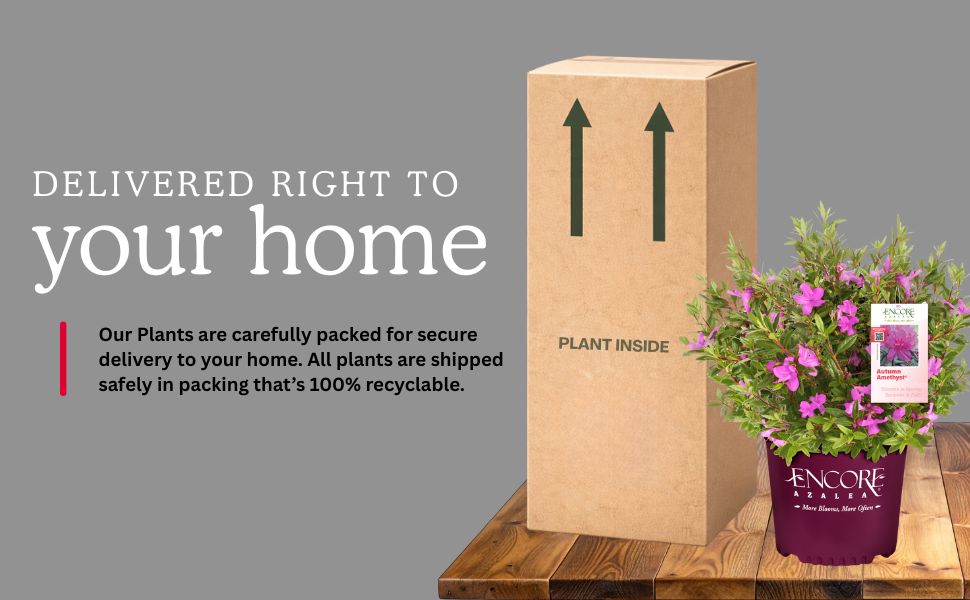 Delivered right to your home