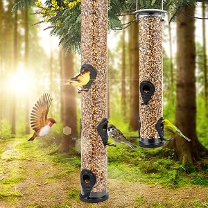 Bird Feeders for Outside Wild Bird Feeder for OUtdoors