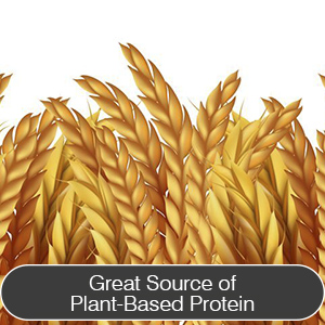 SPN-T2G Zaiqa Bulgur Wheat #1 | Easy to Prepare, Delicious to Taste, 100% Whole Durum Wheat