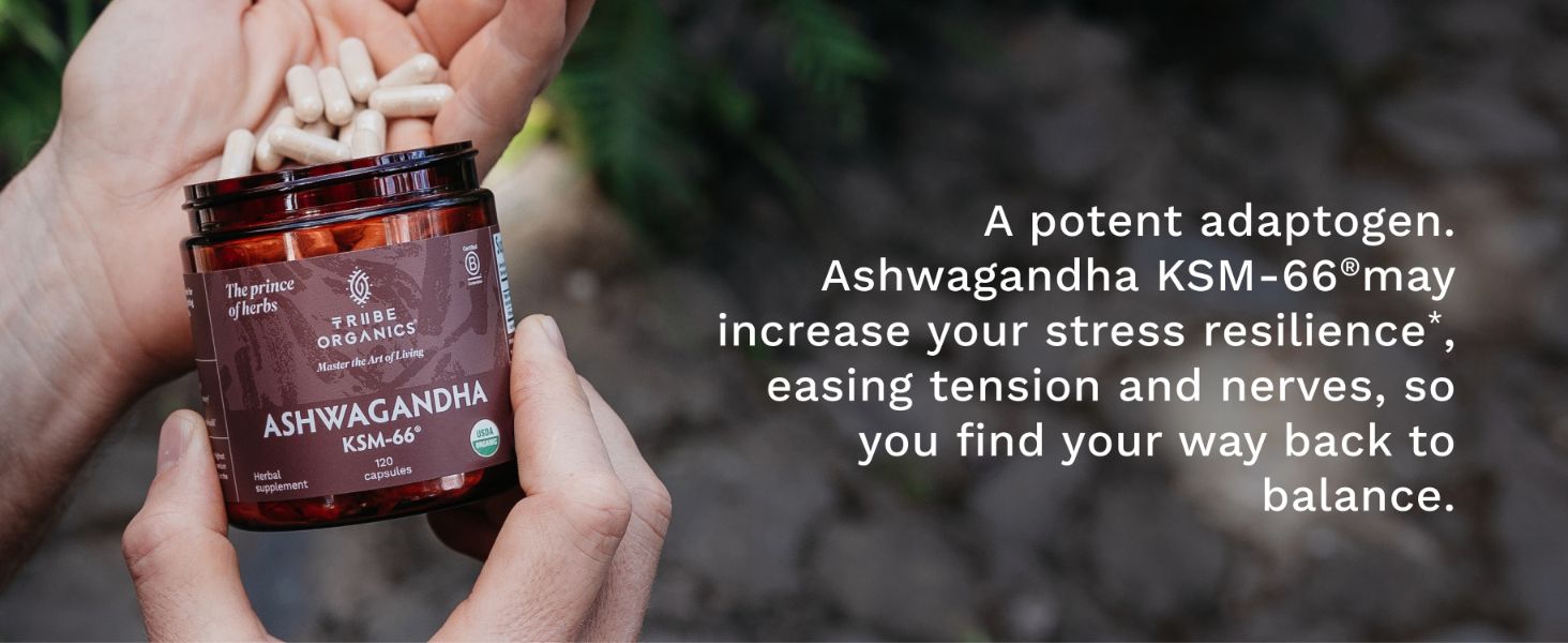 Ashwagandha is a potent adaptogen