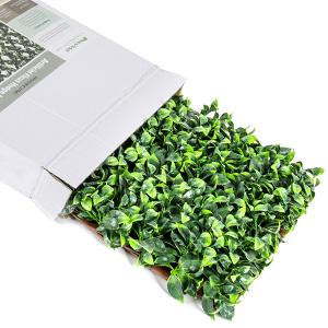NatraHedge Ficus Lattice Box Contents