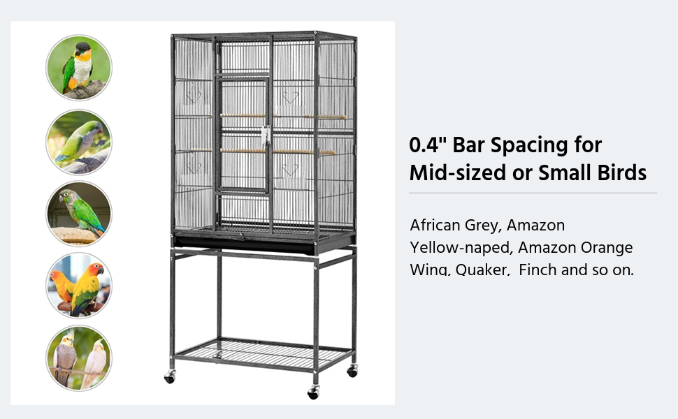 large cockatiel cage