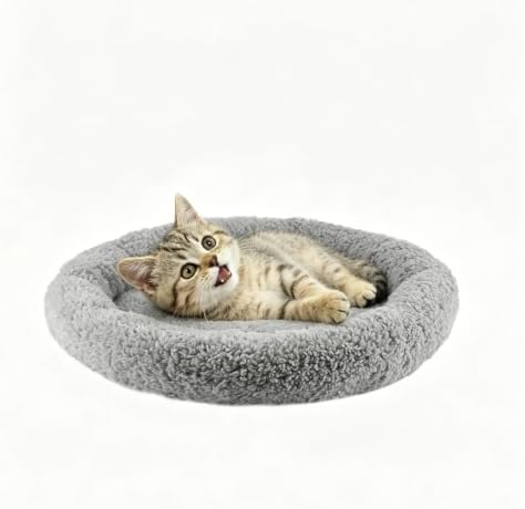 LESYPET Cat Bed for Indoor Cats, Soft Cat Cushion with Cat Pillow Around, Rectangle Kitten Pad Small Bed for Window Sill, 15'' x 10''