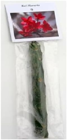 Hawaiian Red Plumeria Plant Cutting Kanoa Hawaii 1 Pack SK34