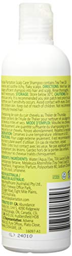 Thursday Plantation Tea Tree Scalp Care Shampoo - Tea Tree Oil + Sulfur for Daily Use, Soothes Flaky, Itchy Scalp, Dandruff for Soft