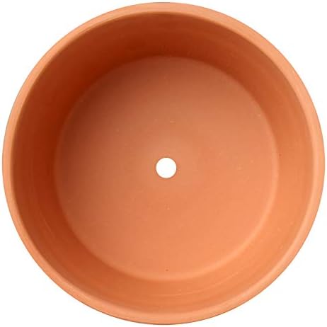 Briful 4 Shallow Terracotta Pots 5.5"x2.8" Flower Pots Clay Pottery Planter with Drainage Hole - Great for Cactus, Succulent Plants and Crafts