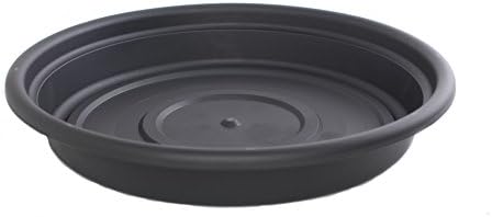 Bloem SDC8-46 Dura Cotta Plant Saucer, Terra Cotta, 8"