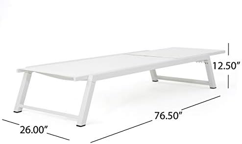 Christopher Knight Home Belle Outdoor Mesh Chaise Lounges, 2-Pcs Set, White Mesh / White