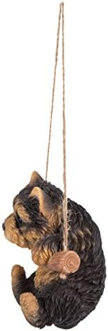 Hanging Yorkshire Terrier Puppy, Black