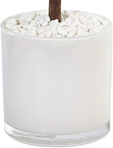 Nearly Natural 2ft. Sweet Bay Artificial Tree in White Glossy Cylinder