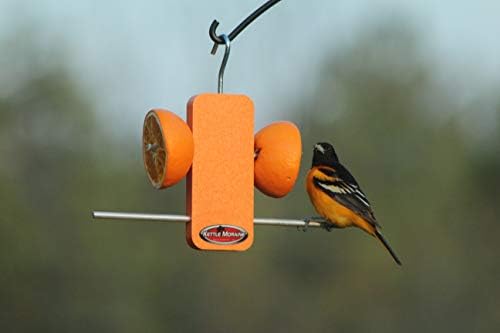 Recycled Single Oriole Orange Fruit Stick Feeder