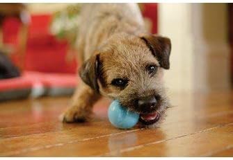 WEST PAW Zogoflex Jive Ball Dog Chew Toy – Bouncing Toys for Dogs, Fetch, Catch, Chewing, Play – Floatable, Recyclable Balls – Latex-Free, Non-Toxic, Dishwasher Safe Dog Toy, X-Small 2", Granny Smith