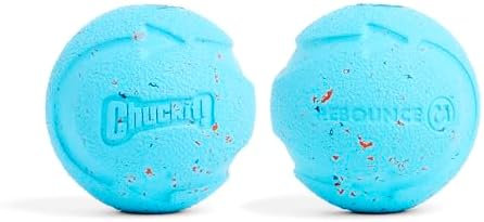 Chuckit! Rebounce Ball Dog Toy, Medium 2.5 Inch, for Dogs 20-60 lbs, Blue | Bouncy rubber build, unpredictable bounce pattern, durable outdoor construction, pack of 2 balls, great for playtime today