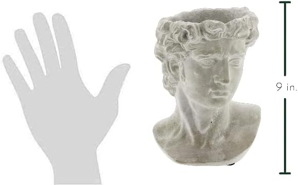 Greek Statue Head Cement Man Head David Planter (9")