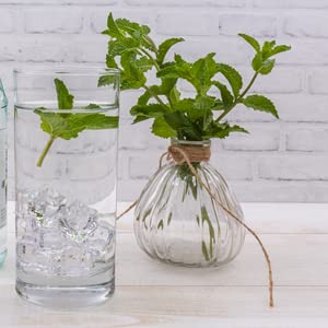 Rabee Mint Water Imported 15 oz. - Mint Hint Water Beverage - Healthy Alternative Drink