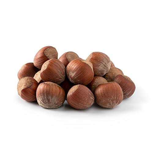 NUTS U.S. - Oregon Hazelnuts In shell | Whole