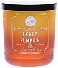 DW Home Richly Scented Honey Pumpkin Candle Med. 10 oz 1 Wick