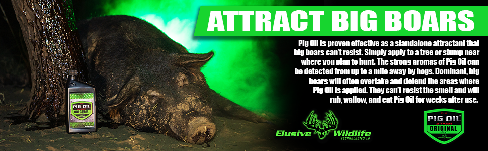 Pig Oil Proven Hog Attractant
