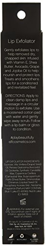 e.l.f. Lip Exfoliator Conditioning Formula, Mint Maniac, 0.11 Ounce (Pack of 1)