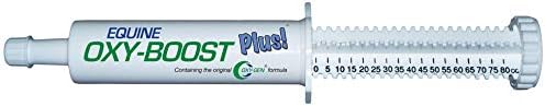 Oxy-Gen Oxy-Boost Probiotic Electrolyte Paste for Horses | Contains Vitamin E, Omega 3