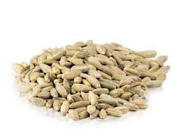 Rye Berries, 5 Pounds USDA Certified Organic, Non-GMO Bulk, Product of USA, Mulberry Lane Farms