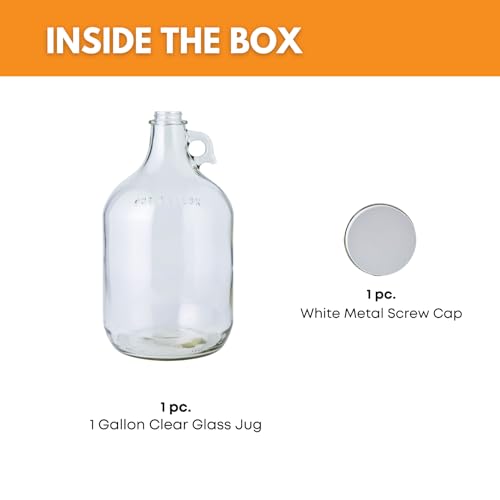 Home Brew Ohio 1 Gallon Glass Water Bottle Includes 38 mm Metal Screw Cap