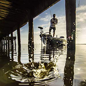 fishing trolling motor freshwater