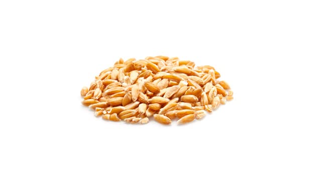 Yupik Organic Spelt Kernels, 2.2 lb (35.2 oz), Non-GMO, Kosher, Vegan, Raw Hulled Grains, Unsalted, Source of Fiber, Ideal for Baking & Cooking