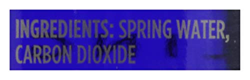 SARATOGA INTERNATIONAL Spring Water, 12 FZ