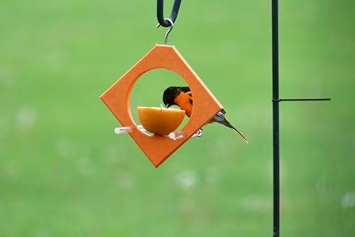 Recycled Plastic Diamond Oriole Feeder for Apples and Oranges