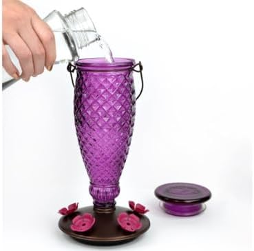 Perky-Pet Diamond Wine Top Fill Glass Hummingbird Feeder, 24 oz Capacity | Built-in Bee Guards for Outdoors, Purple Hanging Wild Bird Feeder